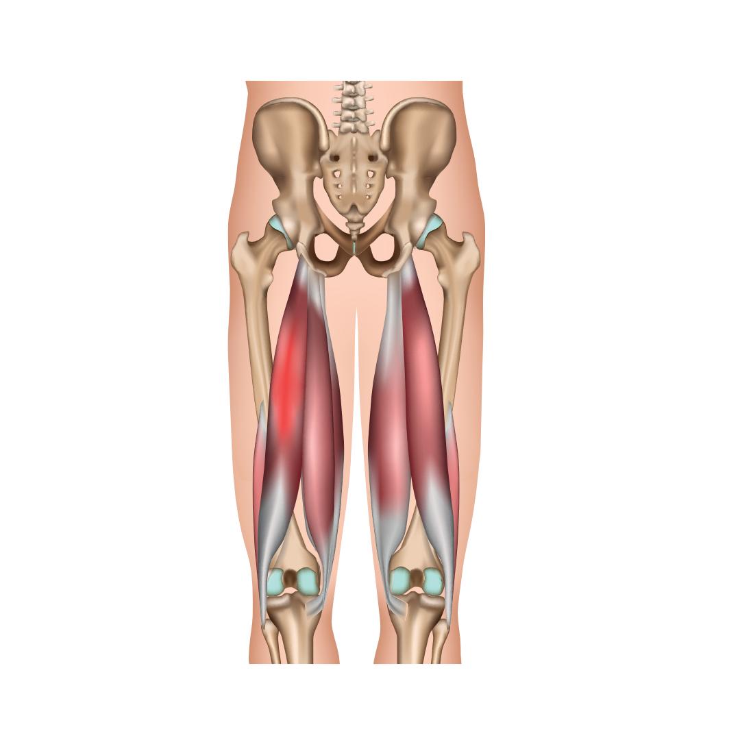 Waar zit je hamstring? Wat te doen bij PIJN.nl